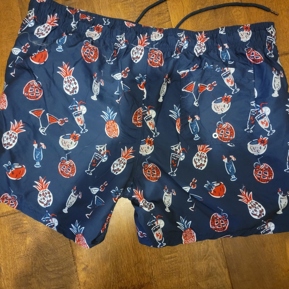 Mens Swim Trunks From Jake Austin Cool Design: Mul View 3